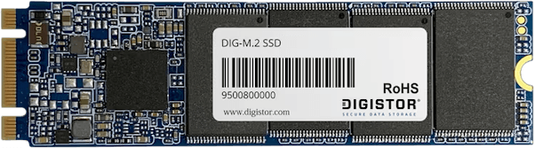 DigiStor DIG-M.2 SSD